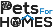 Pets Classifieds